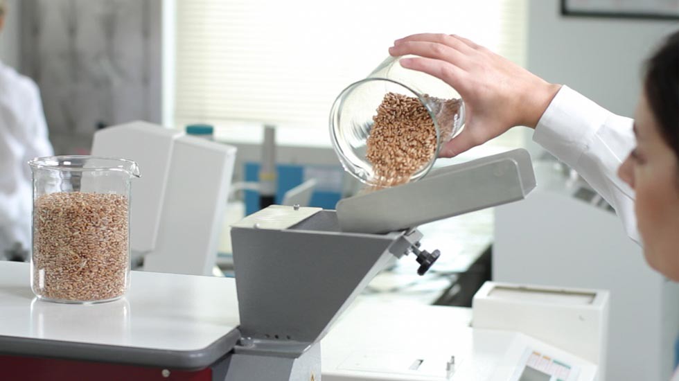 Control de calidad en laboratorio — análisis de granos certificados — IM Superfoods