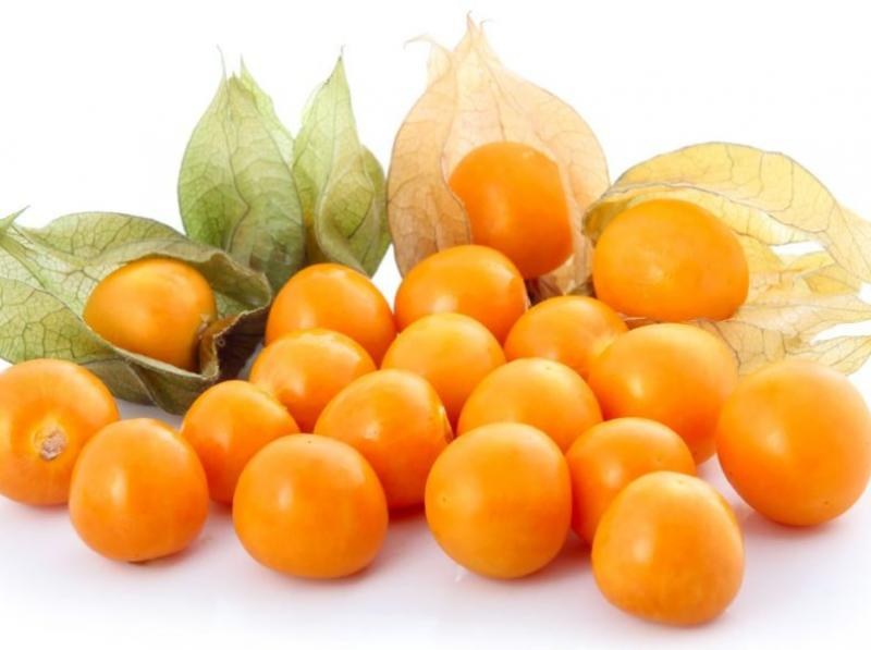 Aguaymanto / Golden Berry
