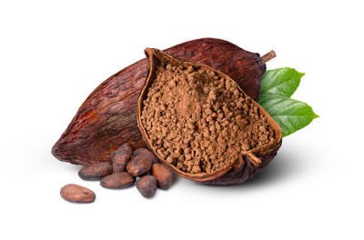 Cacao en Polvo